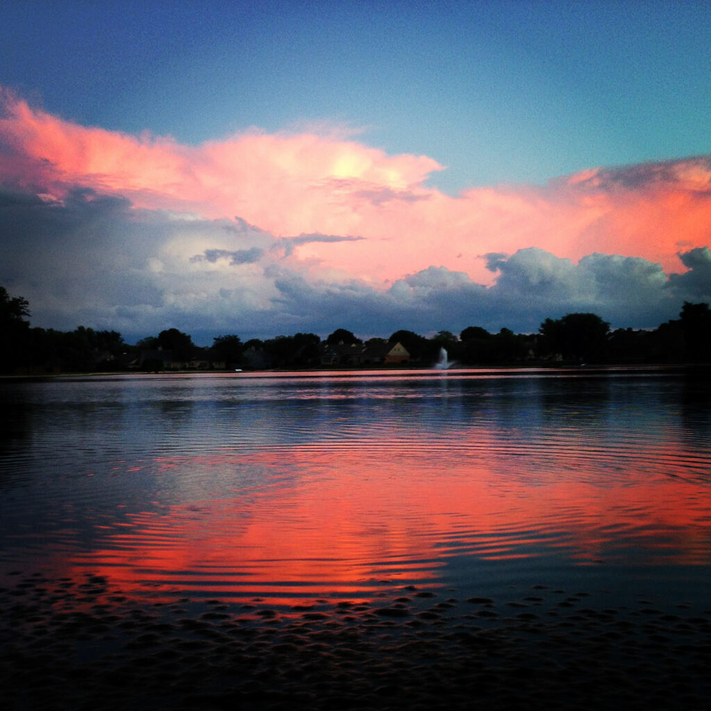 through-line-studios-art-nature